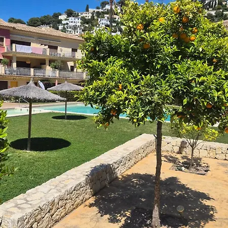 Apartmán Orange Tree *