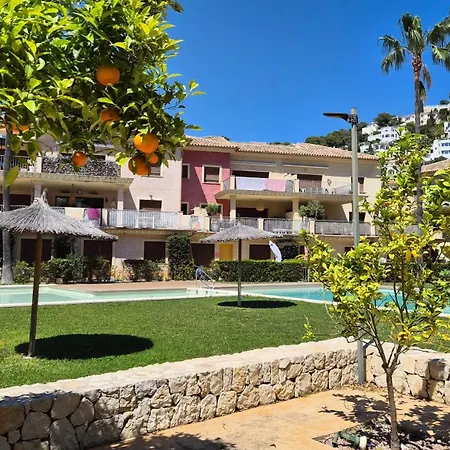 Orange Tree * Benissa